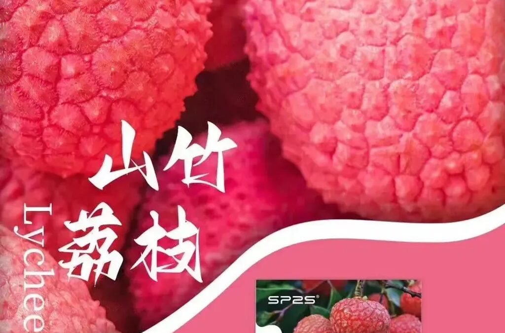ilia煙彈五代拋棄式電子煙蜜瓜口味-電子菸菸彈一盒三入